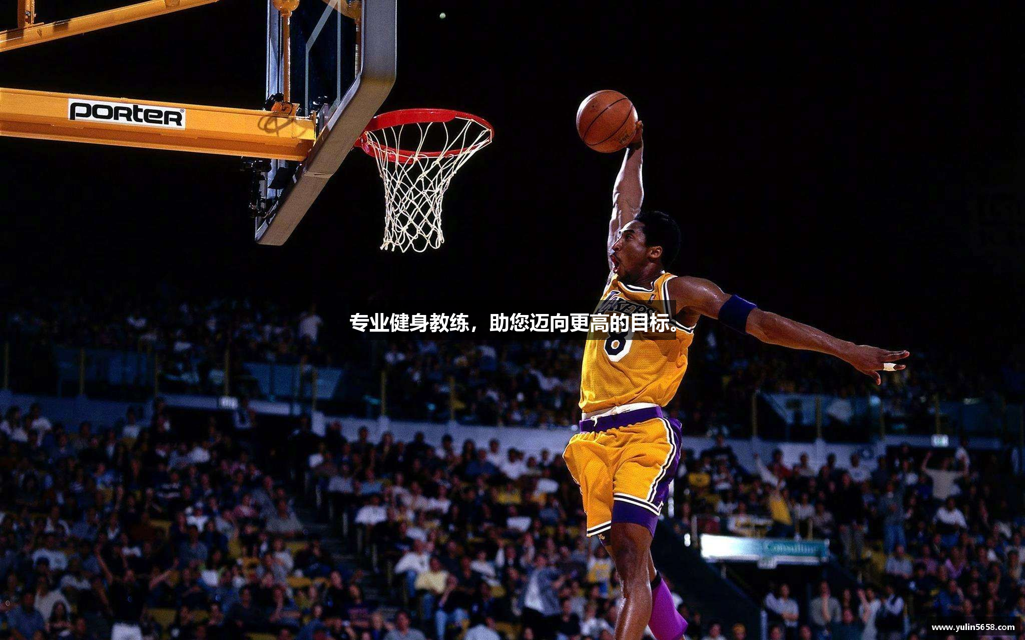 专业健身教练，助您迈向更高的目标。